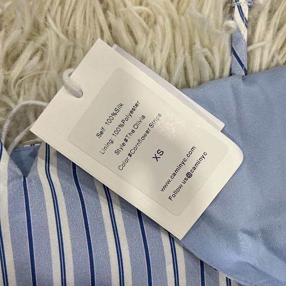 CAMI NYC The Olivia Cami in Cornflower Stripe - Picture 4 of 6